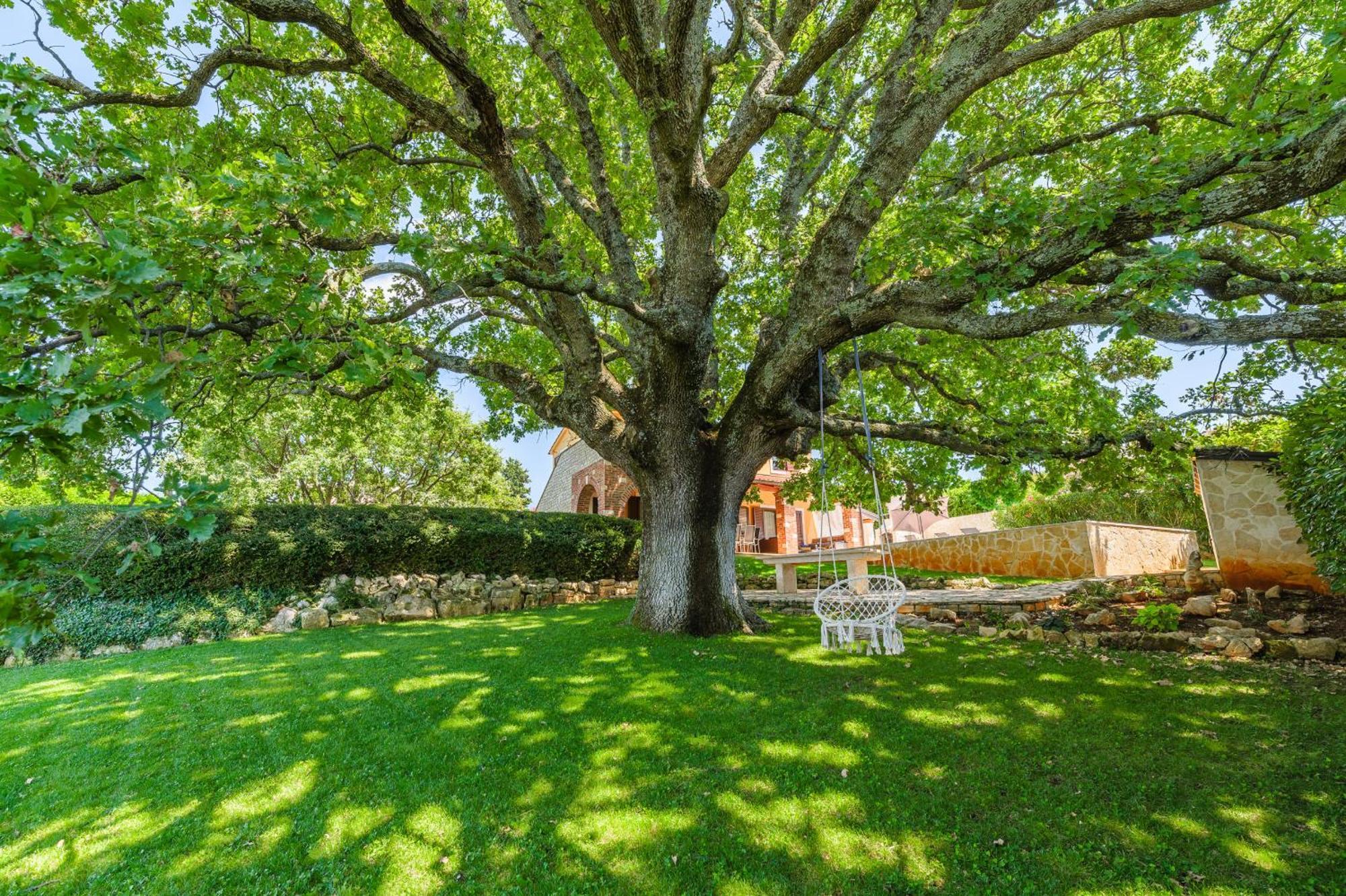 Villa Hrast Bacva Višnjan Eksteriør bilde